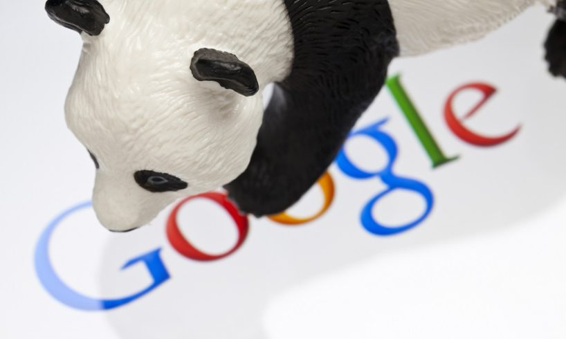 Google Panda