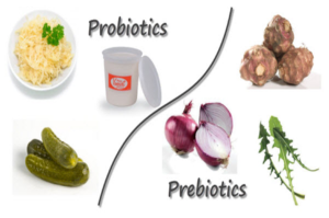 7 Health Benefits of Prebiotics and Probiotics