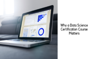 Data is the New Gold-Why a Data Science Certification Course Matters