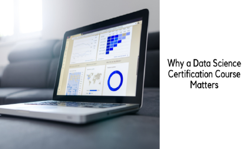 Data is the New Gold-Why a Data Science Certification Course Matters