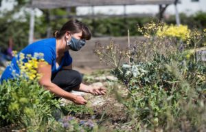 Why Gardens and Plants Matters a Lot?