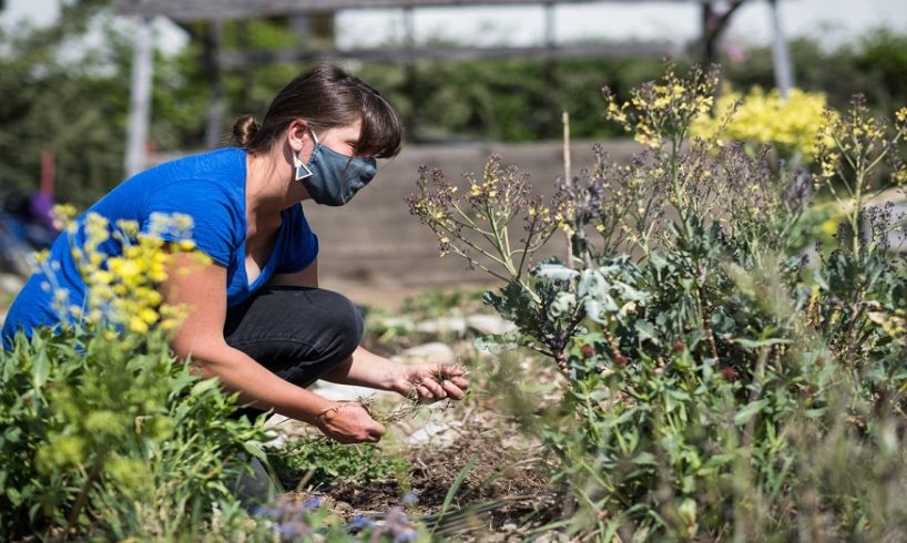 Why Gardens and Plants Matters a Lot?