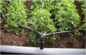 Reece's irrigation supplies