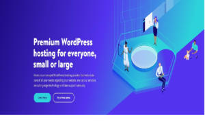 Managed WordPress Hosting Give you an Edge