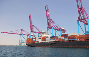 Container Designs